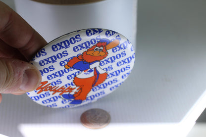 Vintage Montreal Expos Youppi! Pin Button Baseball sports Macaron