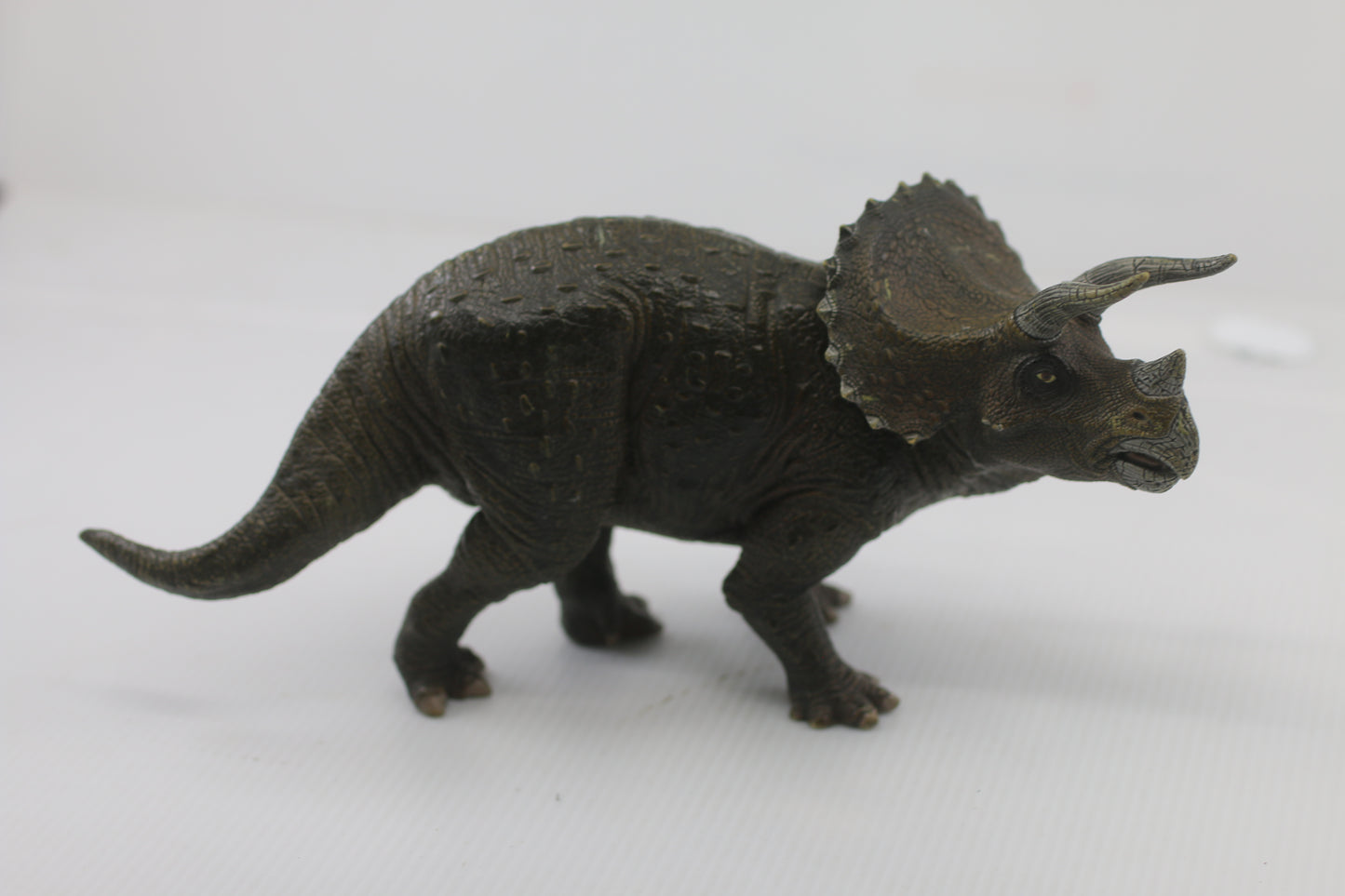 PAPO Dinosaurs Triceratops Toy Figure, Multi-colour (55002)