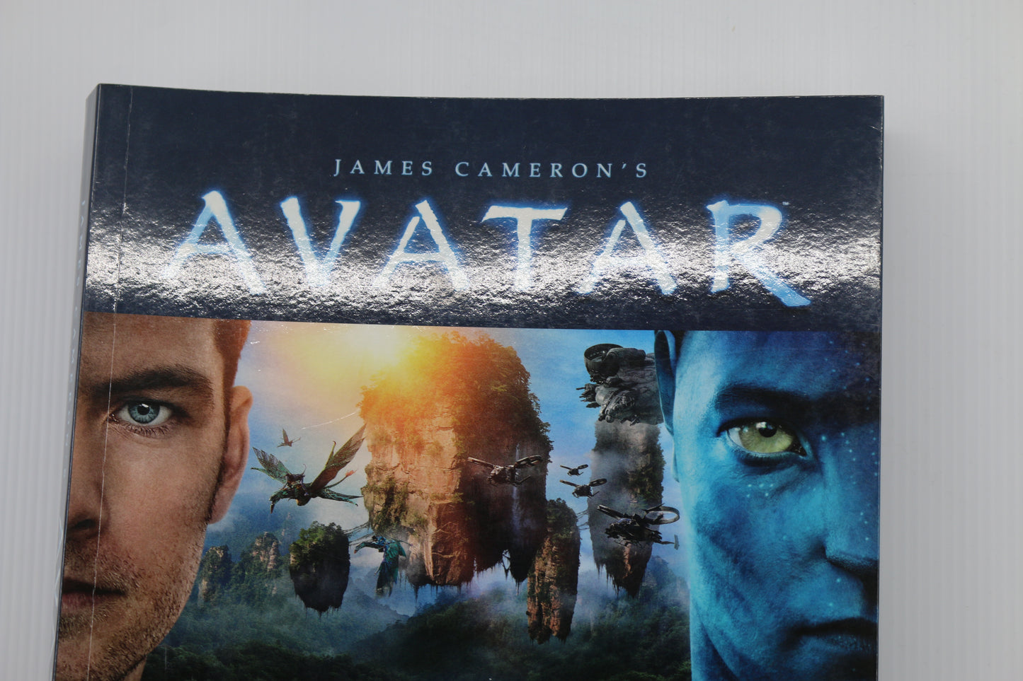 james cameron Avatar le livre officiel Écrit en Français Illustré rare 2009