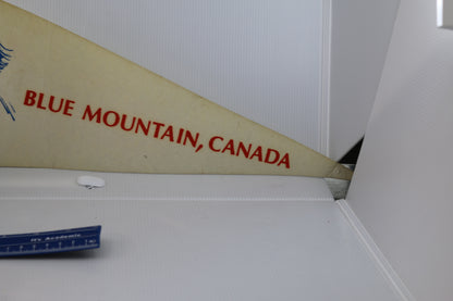 Vintage pennant felt Canada Souvenir The great slide ride Blue Mountain