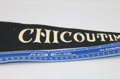 Vintage pennant felt Canada Souvenir Chicoutimi Québec Police Monté