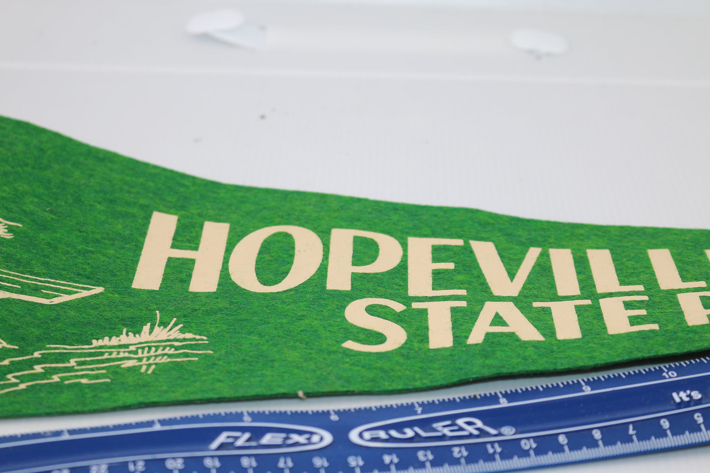 Vintage pennant felt Souvenir USA Hopeville Pond state park