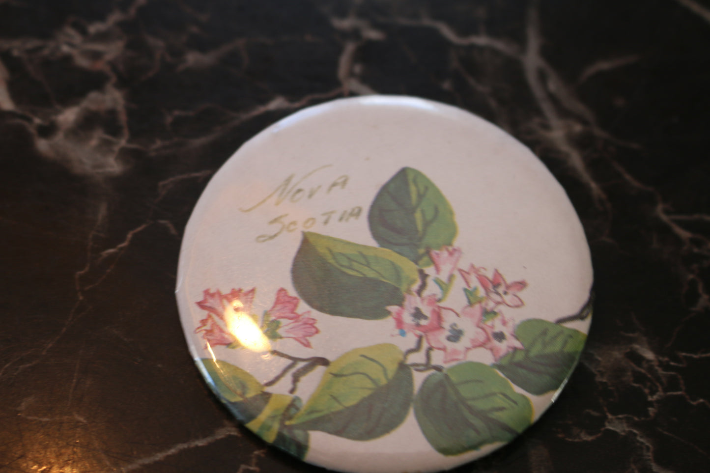 Vintage button Macaron Souvenir Novia Scotia flowers rare QC pinback
