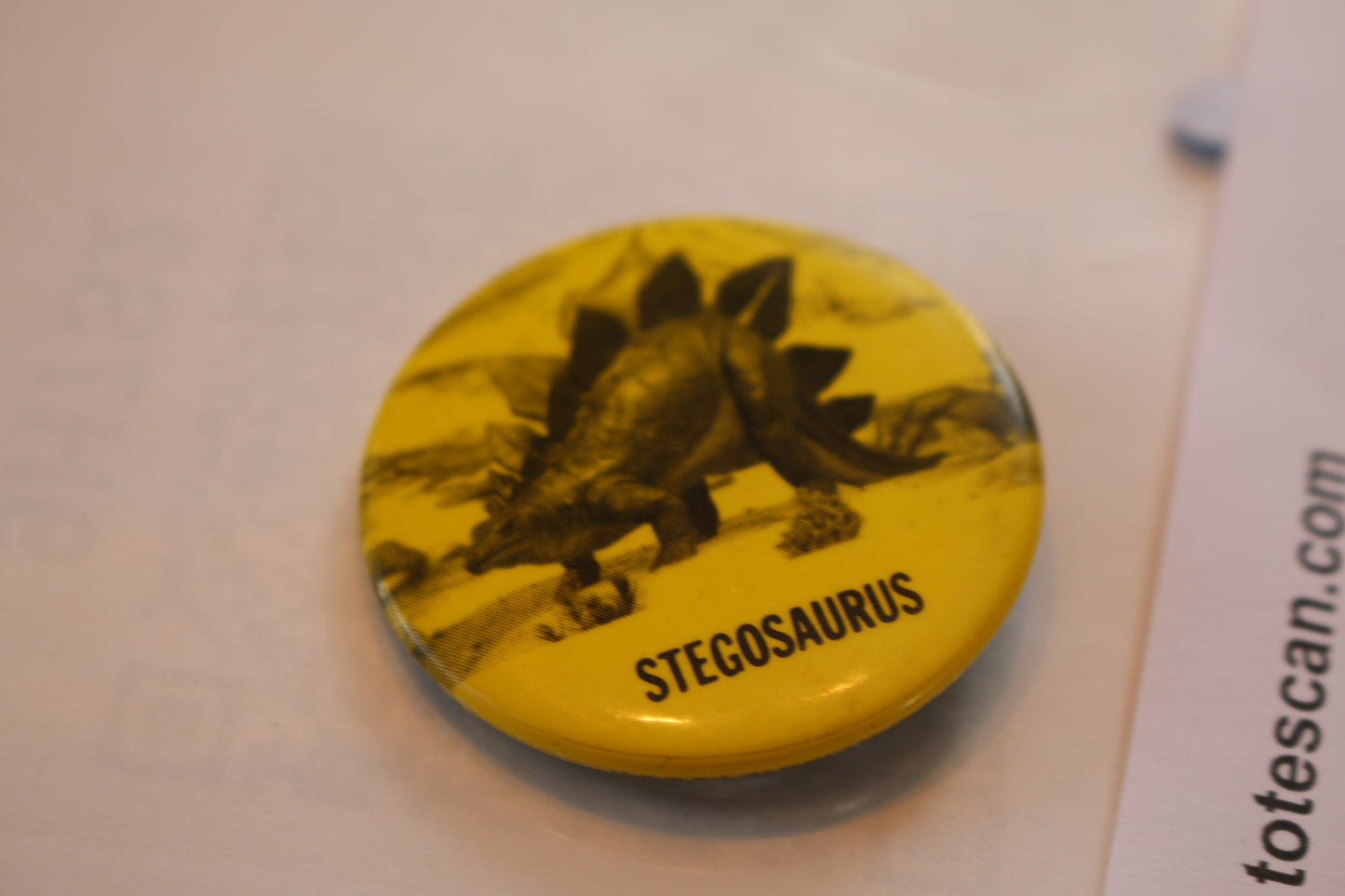 Pinback Button Badge Vintage 1980’s stegosaurus Dinosaur