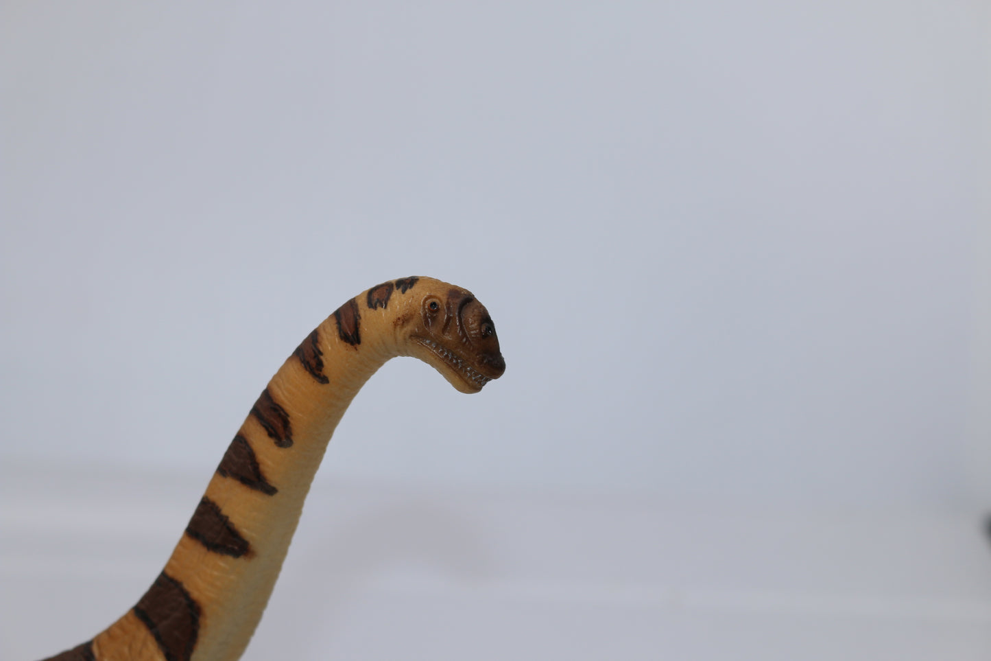 Schleich 14503 - Brachiosaurus - 2003 Dinosaur Dino Retired Prehistoric