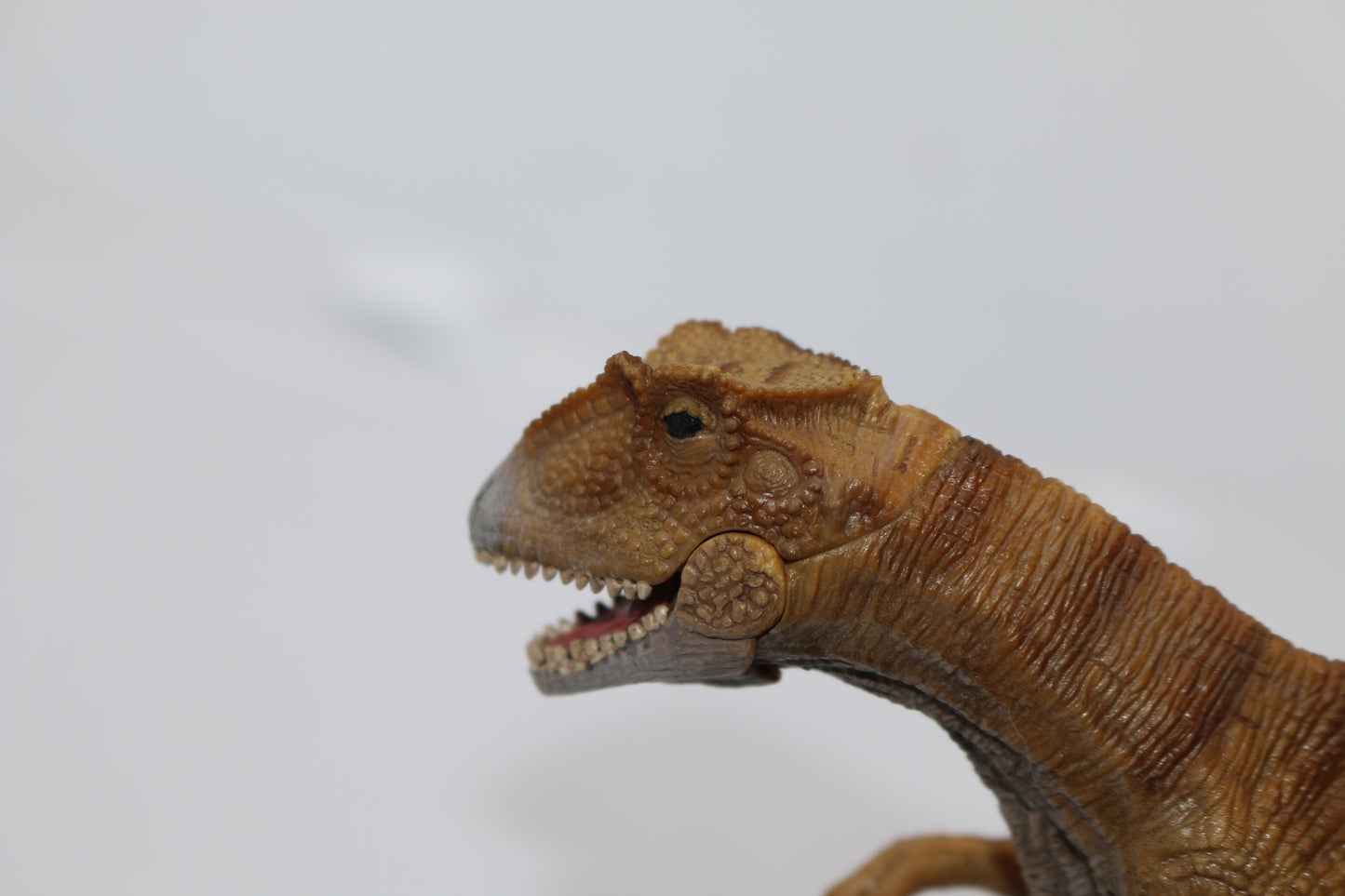 Schleich Allosaurus 9" Dinosaur Figure D-73527 with Moving Jaw (2011)