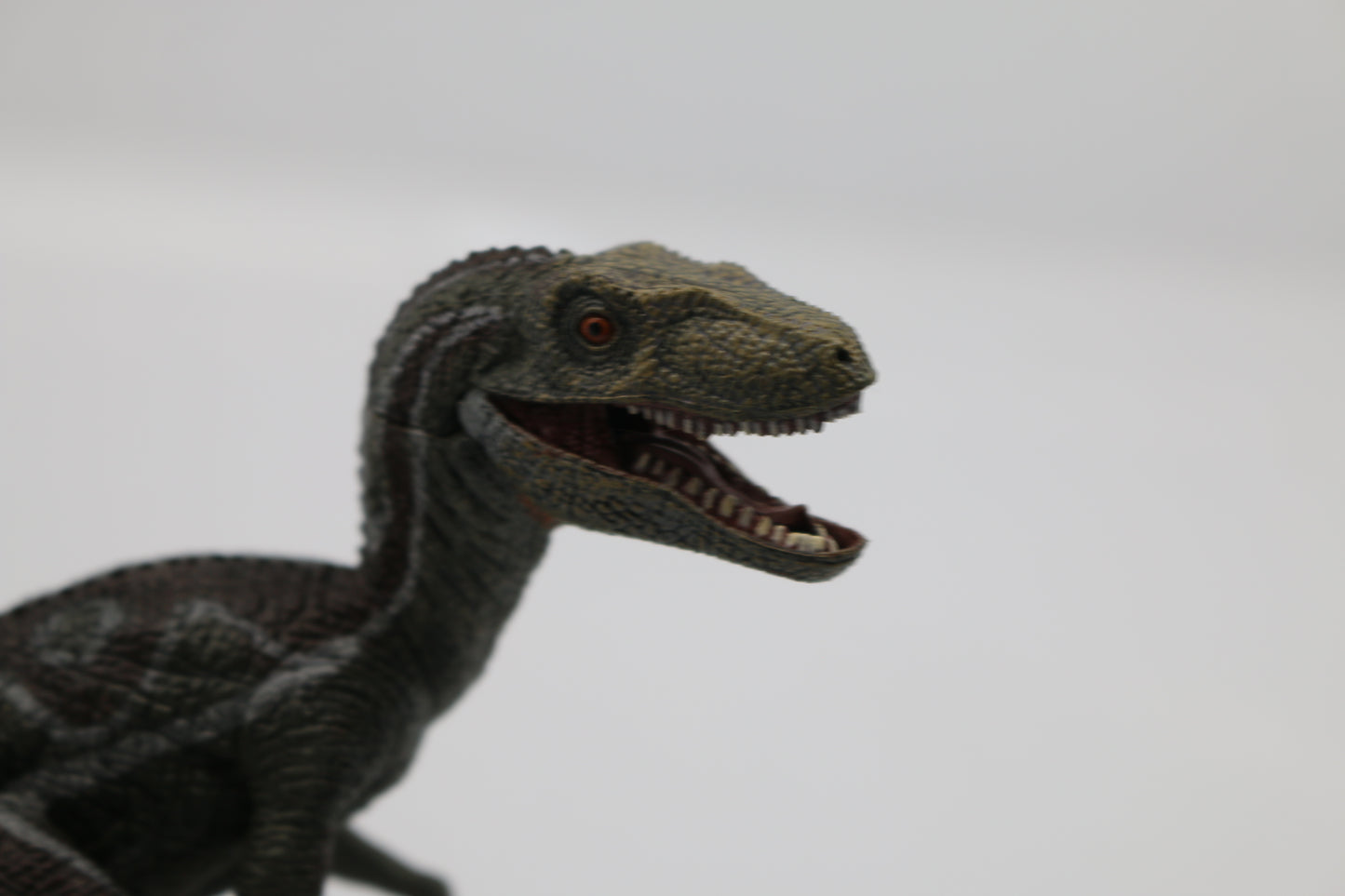 Papo Velociraptor Dinosaur Figure Prehistoric Collectible Jurassic Park Jaw #2