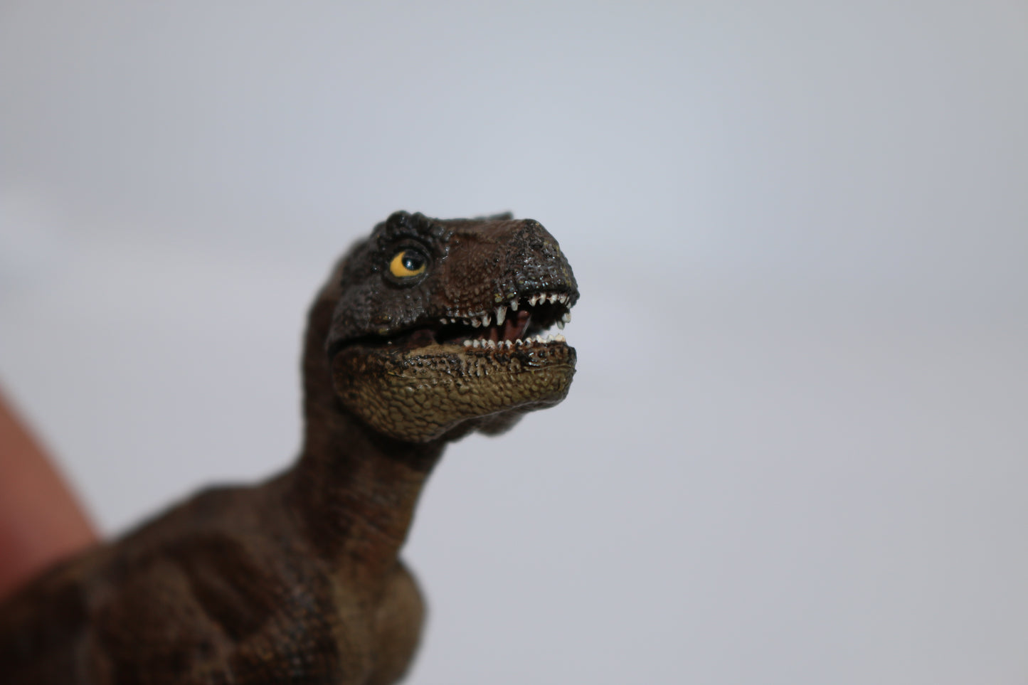 Papo Baby Tyrannosaurus Rex Dinosaur Figure Prehistoric Collectible Rare 2012