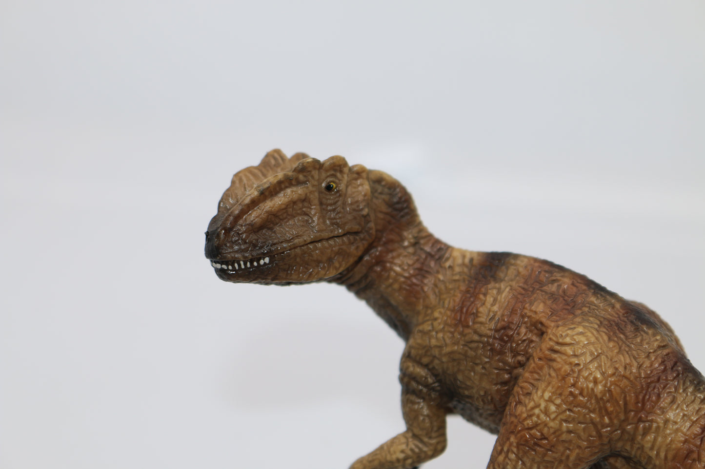 Schleich Dinosaur Figure ALLOSAURUS Realistic Jurassic 2003 Retired 14512