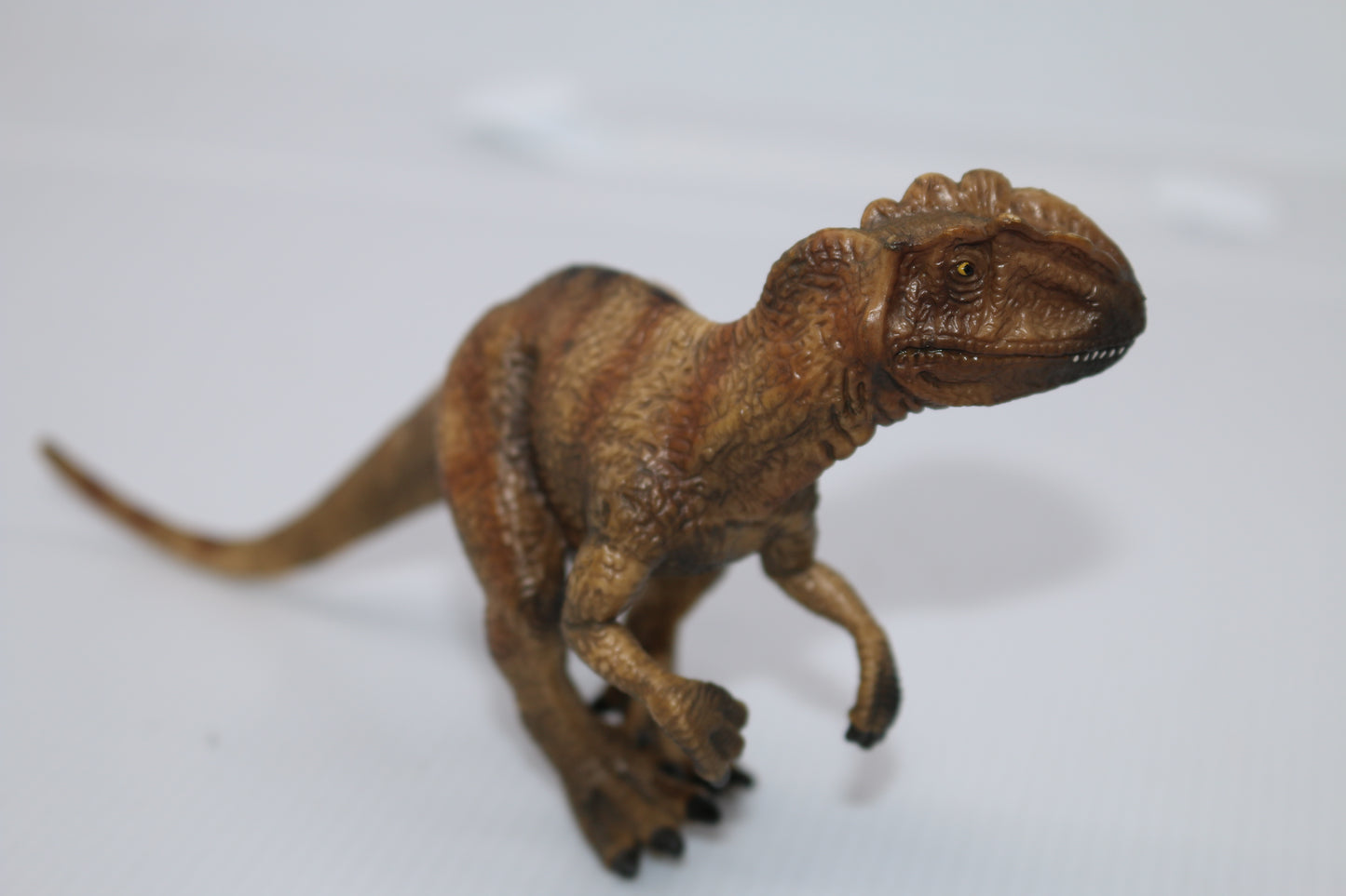 Schleich Dinosaur Figure ALLOSAURUS Realistic Jurassic 2003 Retired 14512