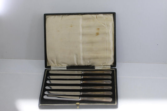 Vintage EPNS Silver Plate & Pirus Stainless Butter Knife Set 6 Pc Original Case