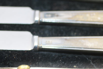 Vintage EPNS Silver Plate & Pirus Stainless Butter Knife Set 6 Pc Original Case
