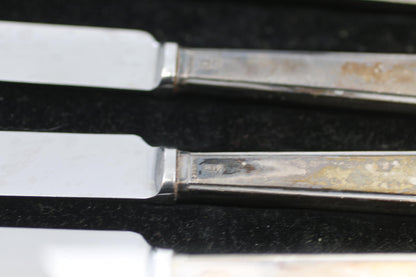 Vintage EPNS Silver Plate & Pirus Stainless Butter Knife Set 6 Pc Original Case