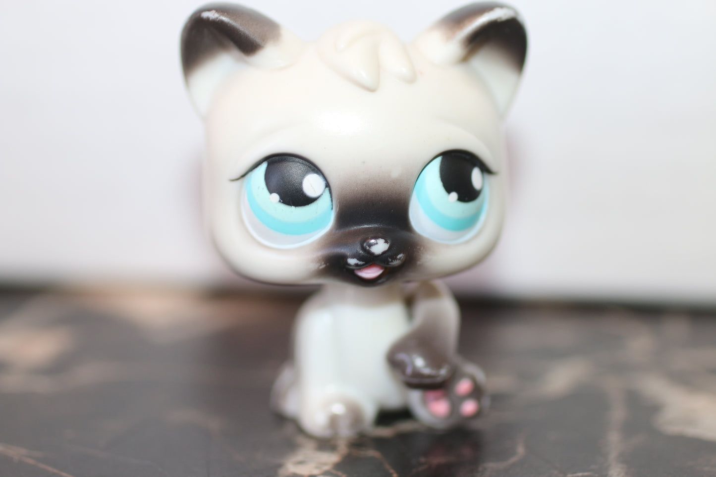 Littlest Pet Shop Siamese Shorthair Cat #5 Blue Eyes LPS