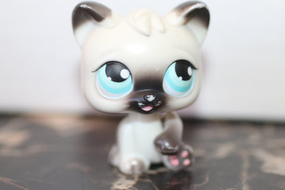 Littlest Pet Shop Siamese Shorthair Cat #5 Blue Eyes LPS