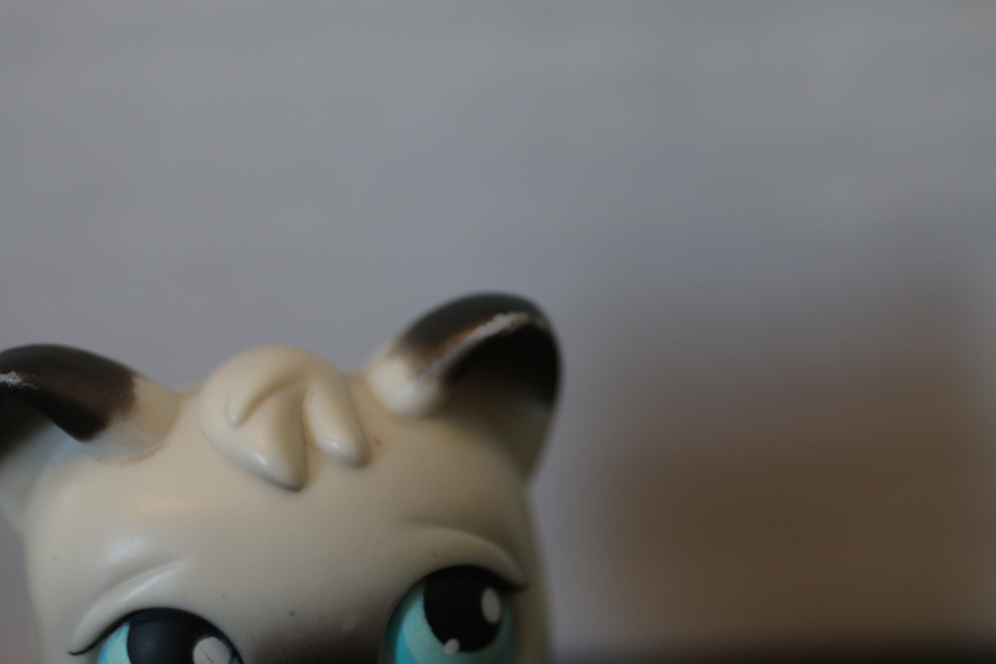 Littlest Pet Shop Siamese Shorthair Cat #5 Blue Eyes LPS