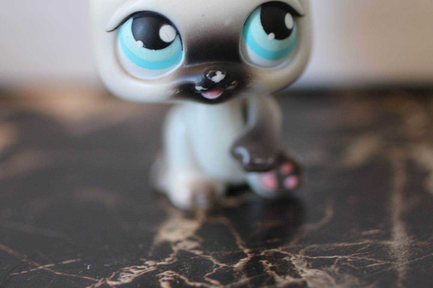 Littlest Pet Shop Siamese Shorthair Cat #5 Blue Eyes LPS