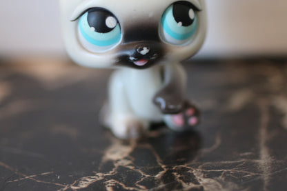 Littlest Pet Shop Siamese Shorthair Cat #5 Blue Eyes LPS