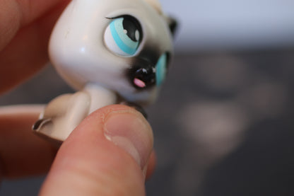 Littlest Pet Shop Siamese Shorthair Cat #5 Blue Eyes LPS