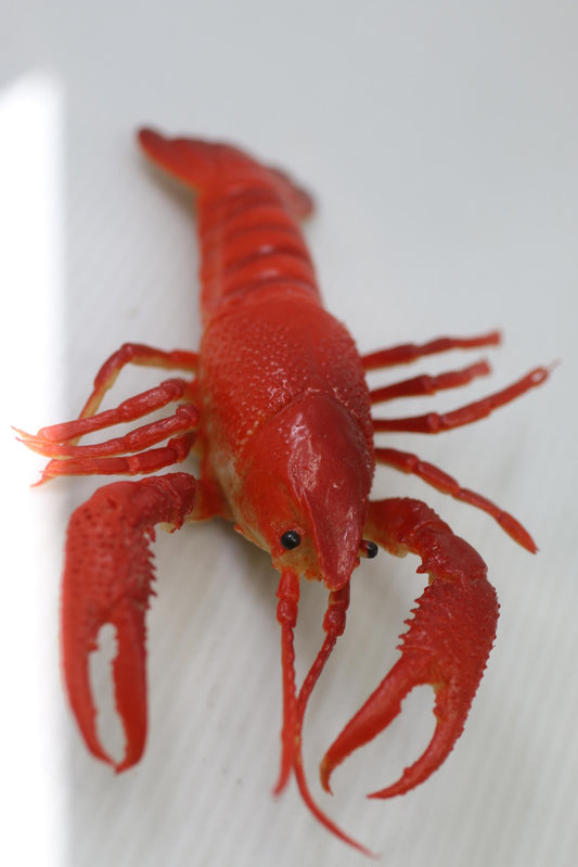 Realistic Red Crawfish Figurine toy figure animal seafood sea life