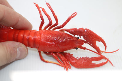 Realistic Red Crawfish Figurine toy figure animal seafood sea life