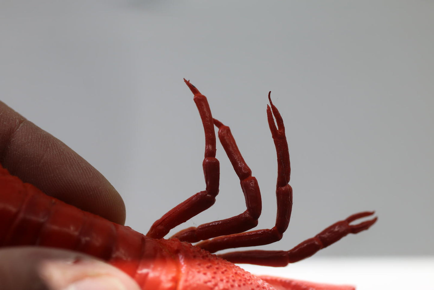 Realistic Red Crawfish Figurine toy figure animal seafood sea life