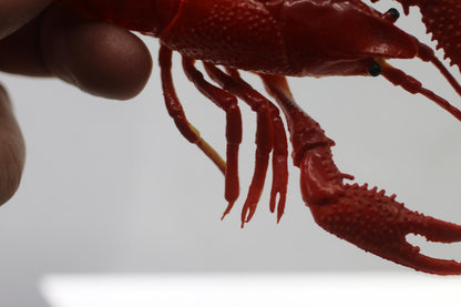 Realistic Red Crawfish Figurine toy figure animal seafood sea life