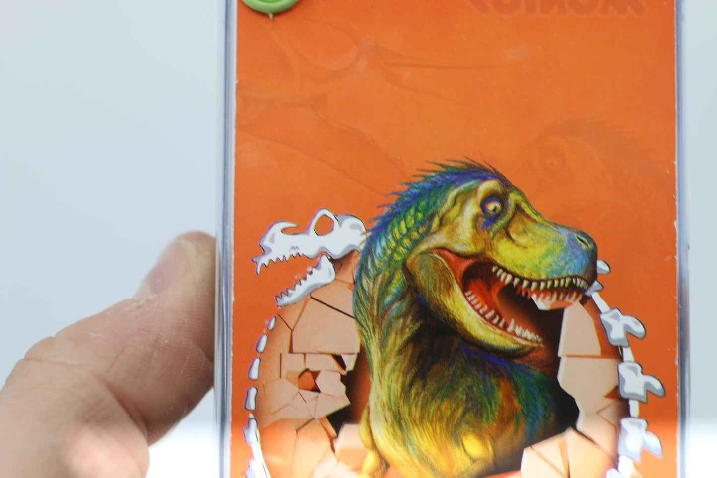 Montoy Dinosaur Themed Water Ring Toss Game