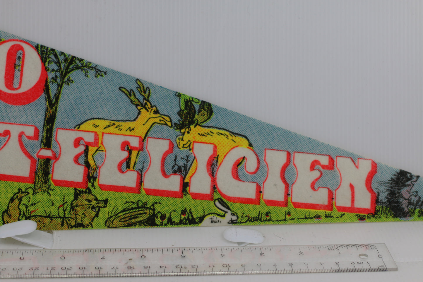 Gros Boul ZOO St- Felicien 1990s Original Full Size Pennant rare Style QC