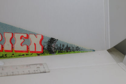 Gros Boul ZOO St- Felicien 1990s Original Full Size Pennant rare Style QC