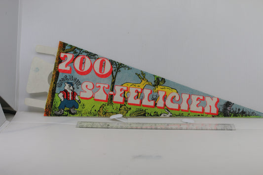 VINTAGE Gros Boul ZOO ST-Félicien SOUVENIR FELT PENNANT FLAG #2