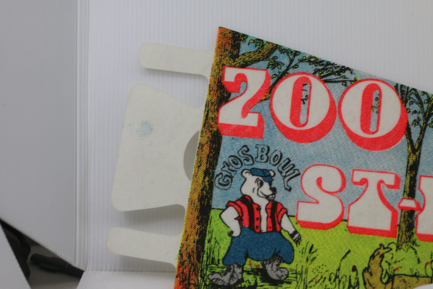 VINTAGE Gros Boul ZOO ST-Félicien SOUVENIR FELT PENNANT FLAG #2