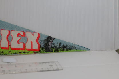 VINTAGE Gros Boul ZOO ST-Félicien SOUVENIR FELT PENNANT FLAG #2