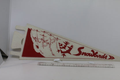 VINTAGE Snowbirds SOUVENIR FELT PENNANT FLAG plane