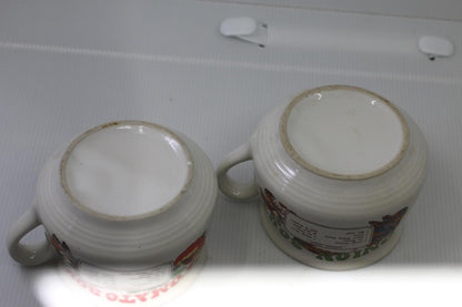 Vintage TOMATO & ONION Soup Ceramic Recipe Mug-Bowl-Cup With Handle