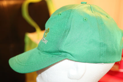 St. Patrick’s Day Green Shamrock Hat – Embroidered Clover Cap – Adjustable