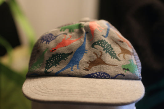 Cat & Jack Dinosaur Trucker Hat Kids Youth Snapback – Multicolor – Target