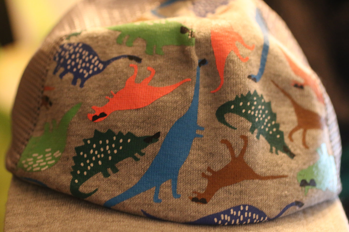 Cat & Jack Dinosaur Trucker Hat Kids Youth Snapback – Multicolor – Target