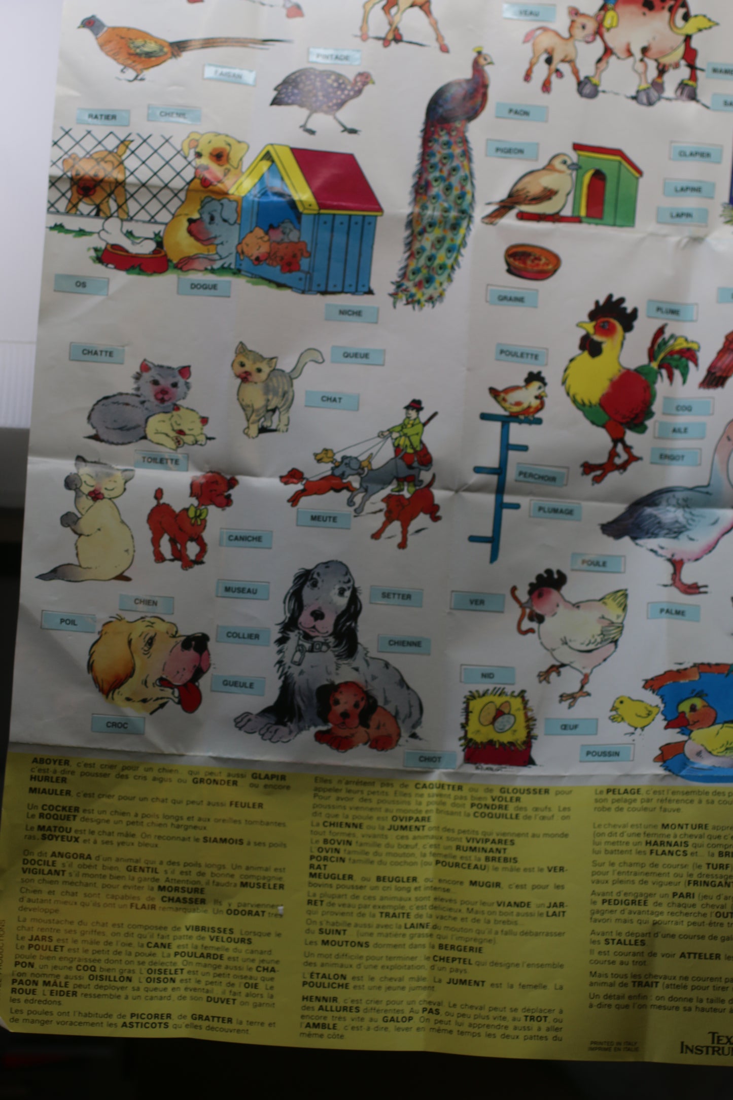 La Dictée Magique Speak & Spell Texas Instruments *French* Version 1981 works