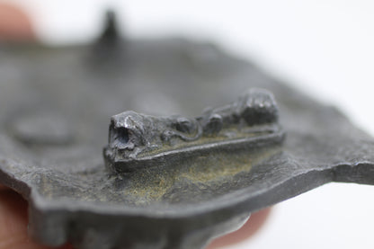 Motley Crue Vintage Belt Buckle – 1994 Bergamot – Heavy Metal Rock – READ