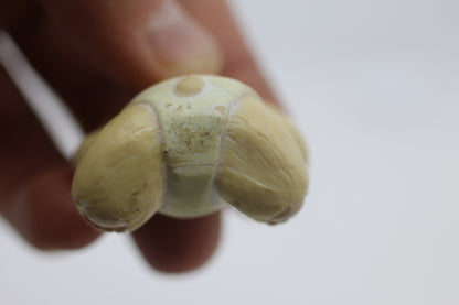 1986 Furskins The Baby Bear Plastic Figurine Vintage Collectable OAA Inc.