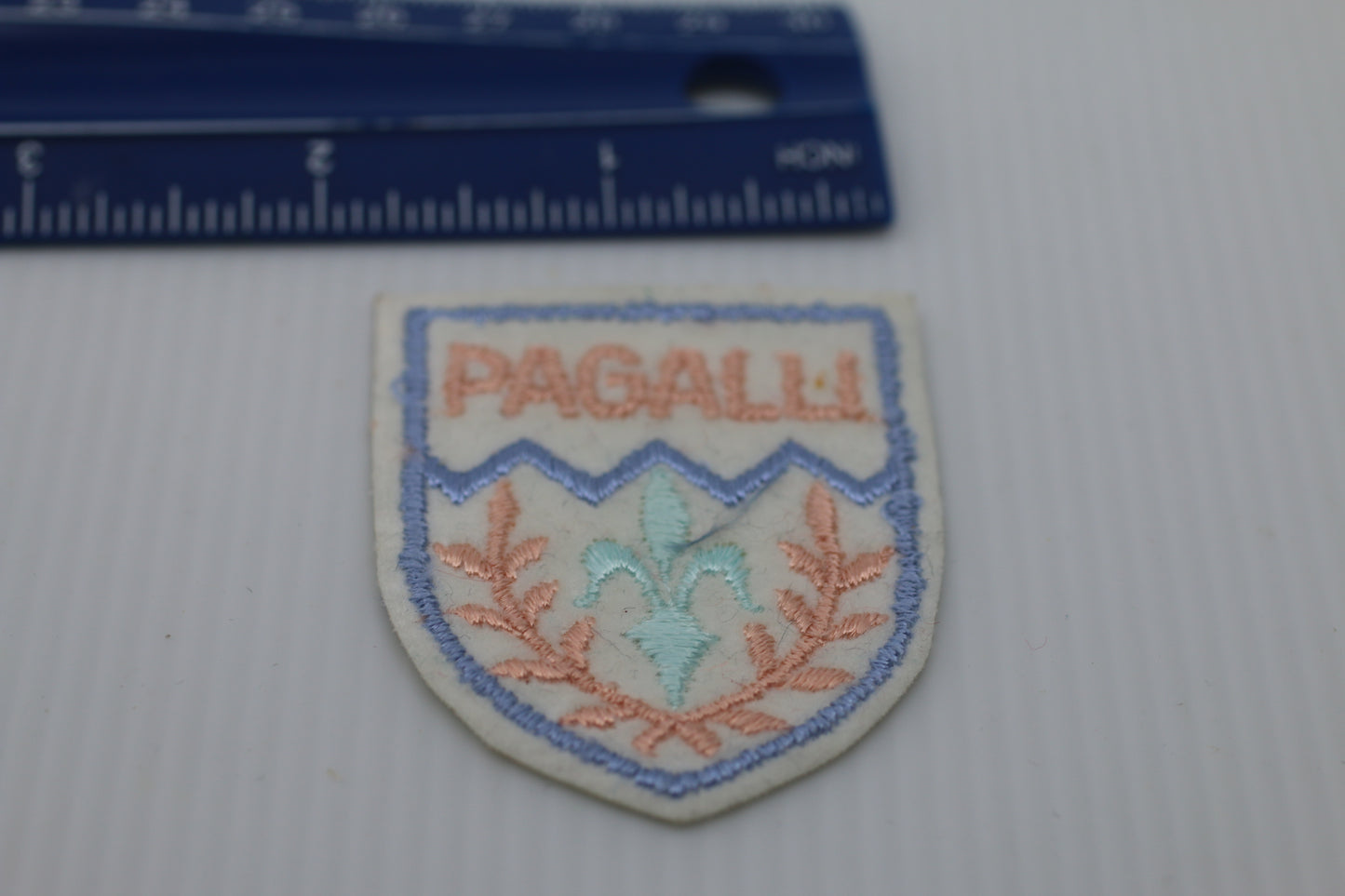 Vintage Souvenir Patch Badge Pagalli Written in pink