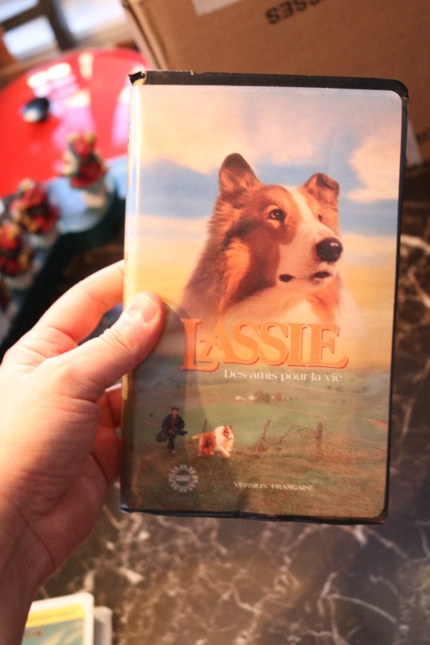 Vhs Lassie Des Amis Pour La Vie French Francais Video Cassette Film Movie