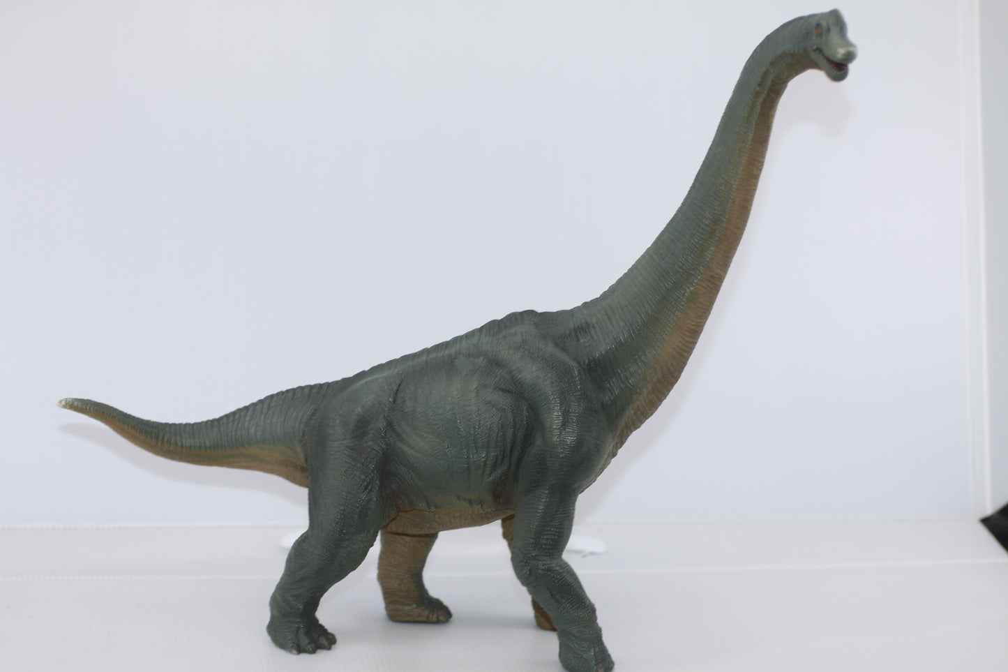 Papo Brachiosaurus Dinosaur Figure Toy 12" Tall High Detailed 2012