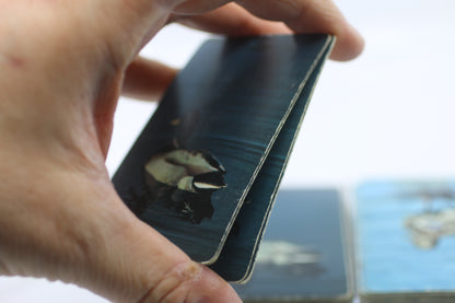 Vintage Duratone Plastic Coated Playing Cards – Canadian Deck – Ducks QC