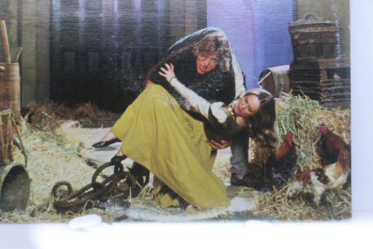 Hunchback of Notre Dame Vinyl Record Album #2
