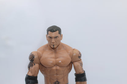 WWE Mattel Animal Dave Batista Basic Wrestling Figure Summerslam 3 Silver