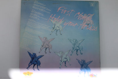 First Choice - Hold Your Horses Vinyl Record Album