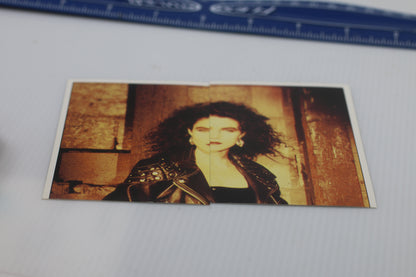 1990 Panini Fan Club Collection Pop Star Stickers Alannah Myles (#115-116)