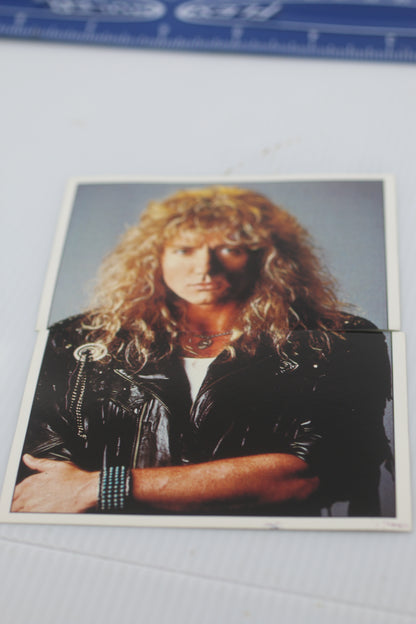 1990 Panini Fan Club Collection Pop Star Stickers (Whitesnake) #146-147